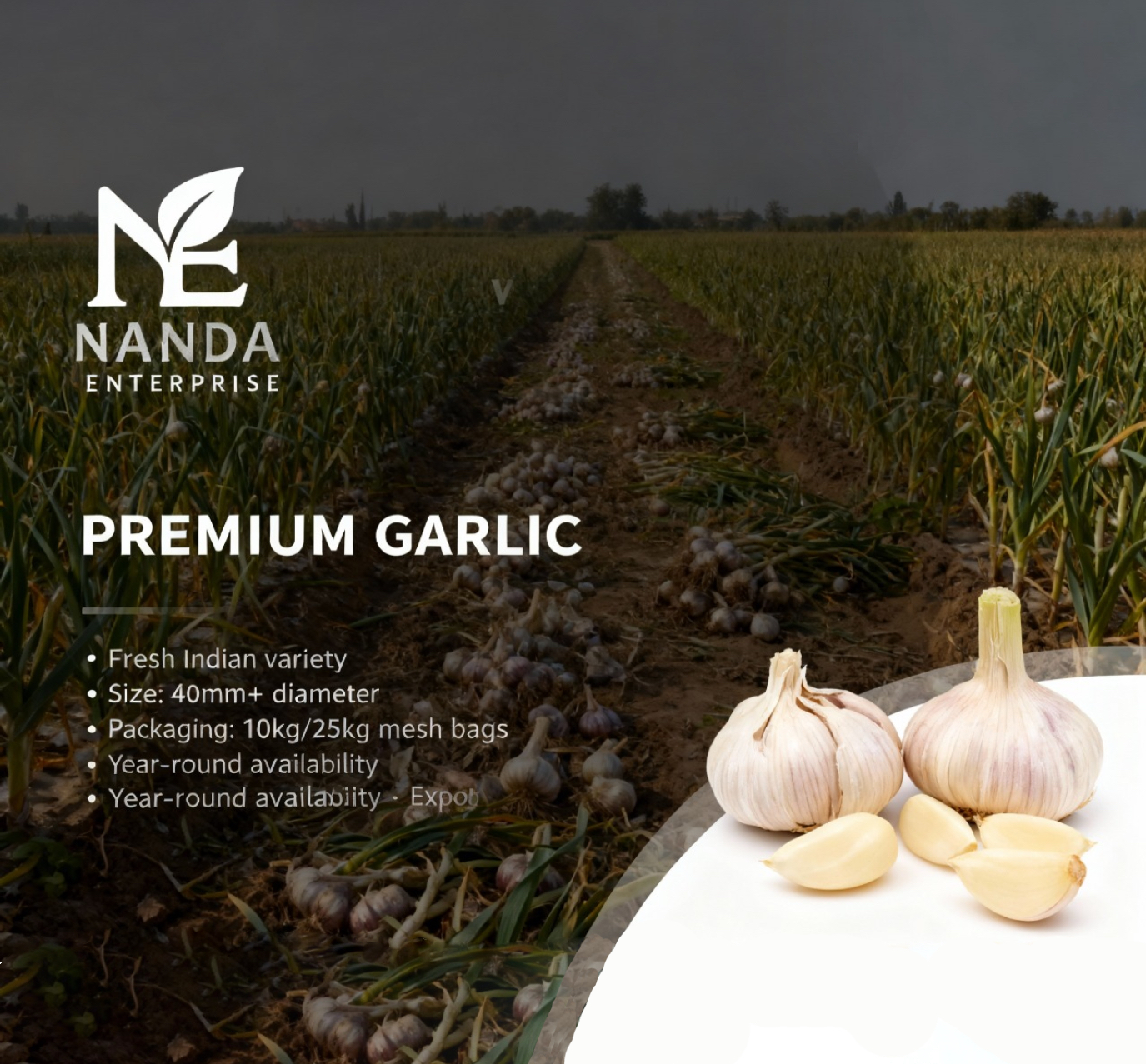 Quality Chilli - Perfect Heat & Flavor